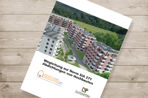 Wegleitung «Norm SIA 271:2021» | Buch 